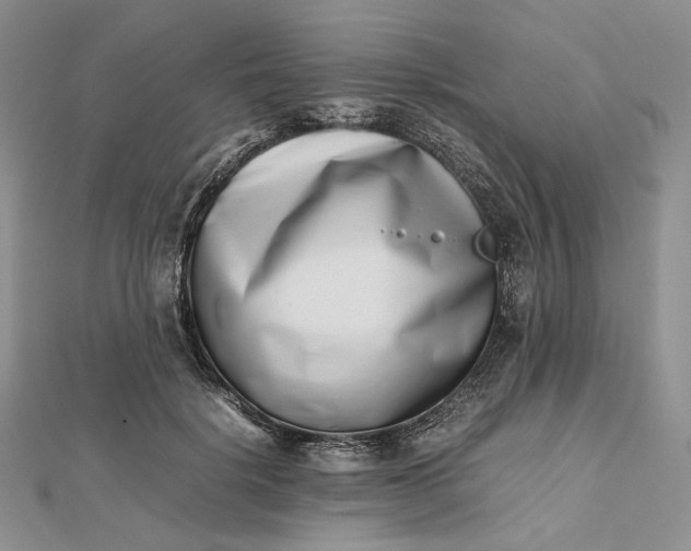 X0000112490652200908311433