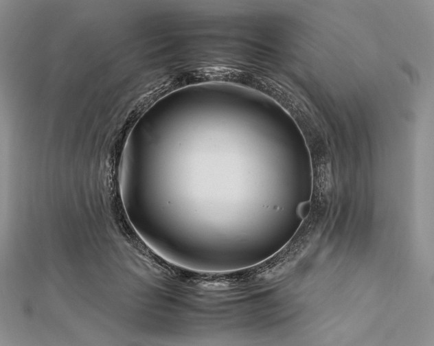 X0000112490653200908311433