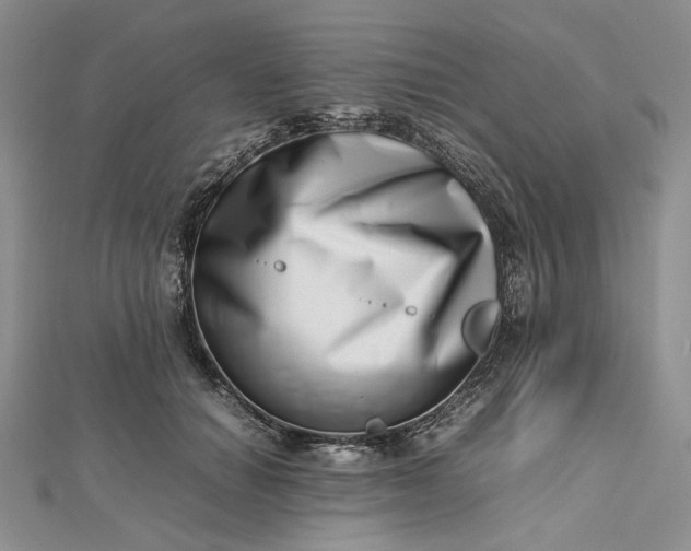 X0000112490654200908311433