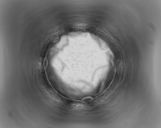 X0000112490655200908311433