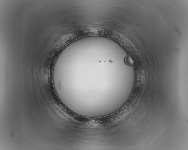 X0000112490656200908311433