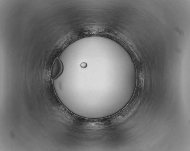 X0000112490657200908311433