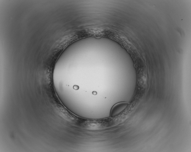 X0000112490658200908311433