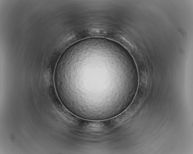 X0000112490659200908311433