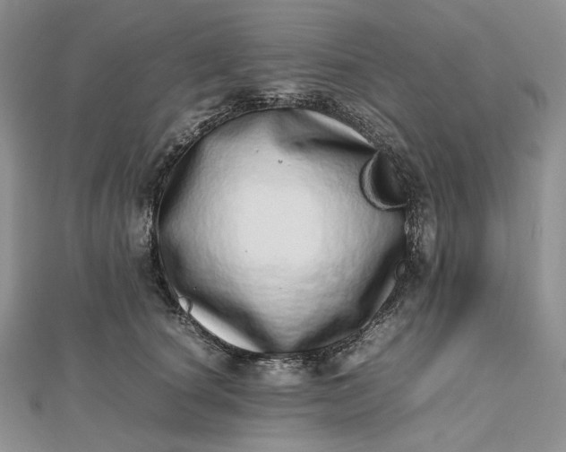 X0000112490660200908311433