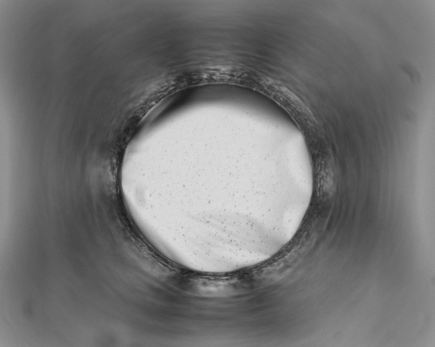 X0000112490661200908311433