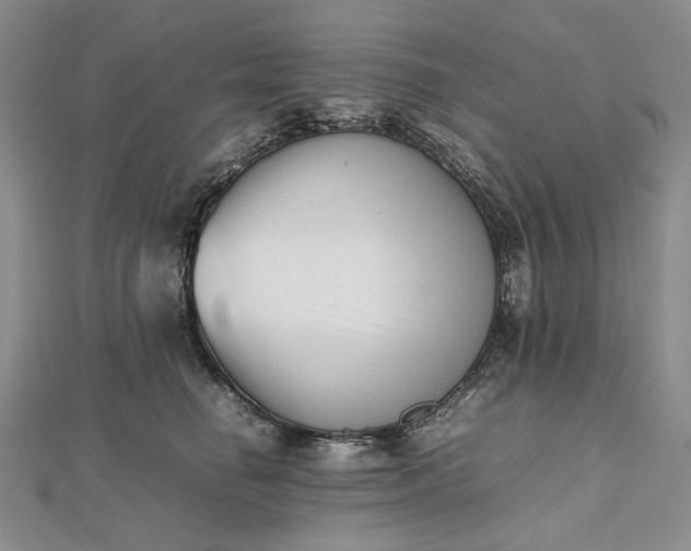 X0000112490662200908311433