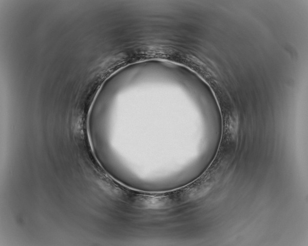 X0000112490663200908311433