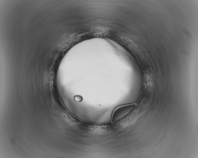 X0000112490664200908311433