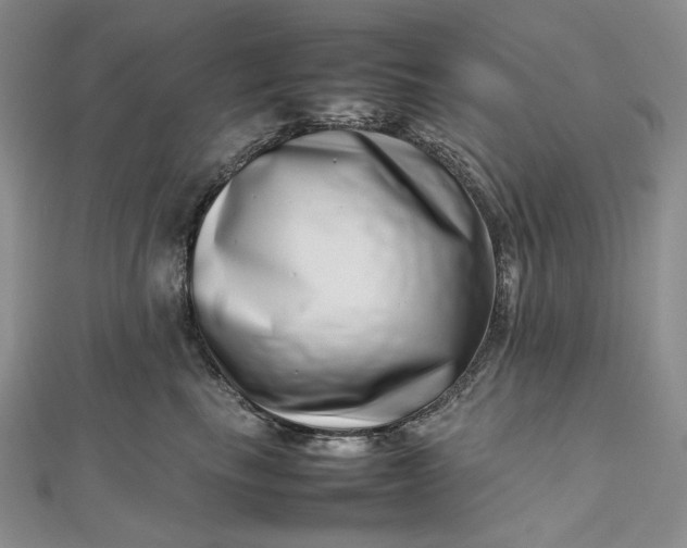 X0000112490665200908311433