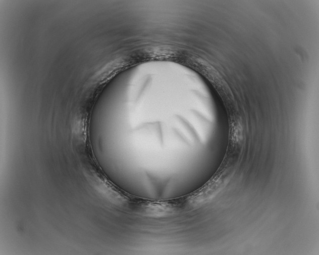 X0000112490666200908311433