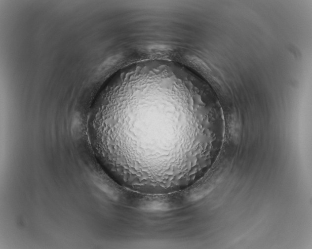 X0000112490667200908311433