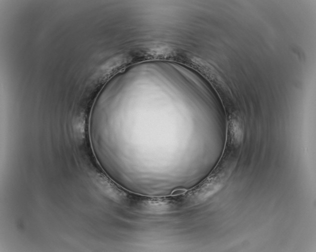 X0000112490668200908311433