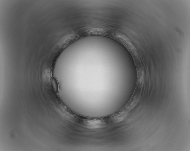 X0000112490669200908311433