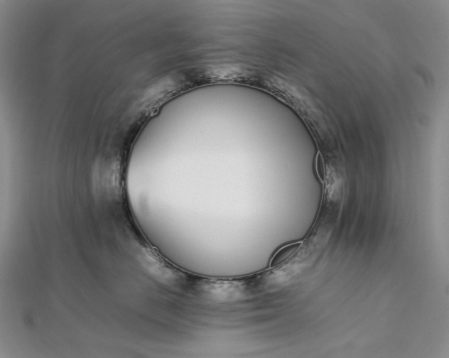 X0000112490670200908311433