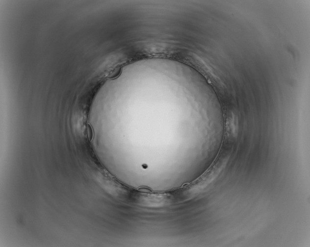 X0000112490671200908311433