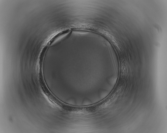 X0000112490674200908311432