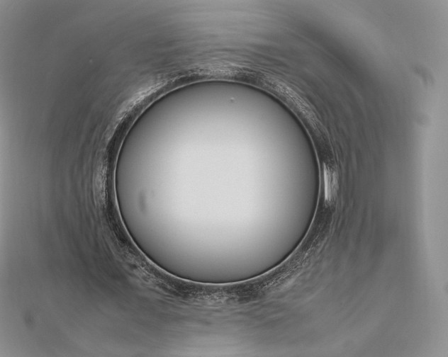 X0000112490675200908311432