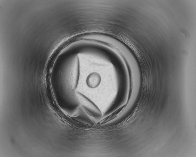 X0000112490676200908311432