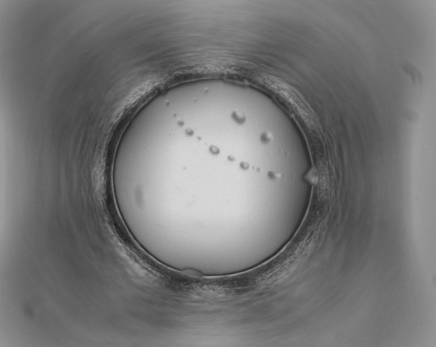 X0000112490677200908311432