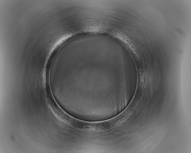 X0000112490678200908311432