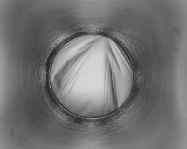 X0000112490679200908311432