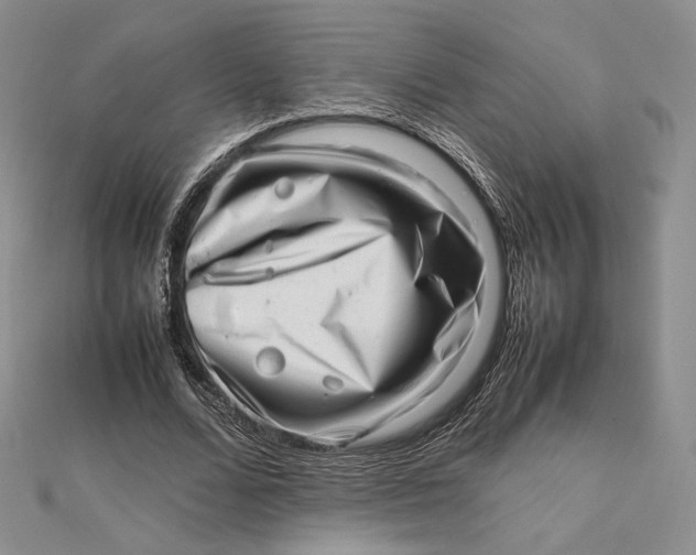 X0000112490680200908311432