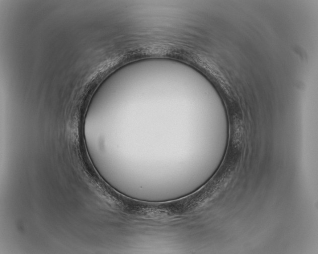 X0000112490681200908311432