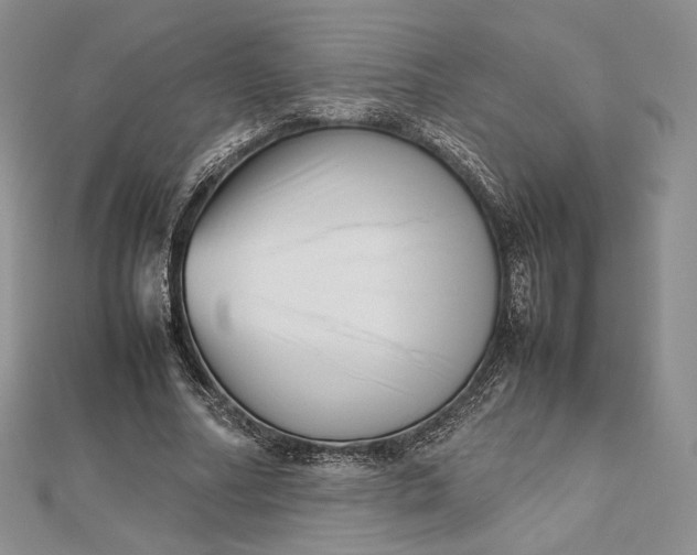 X0000112490682200908311432