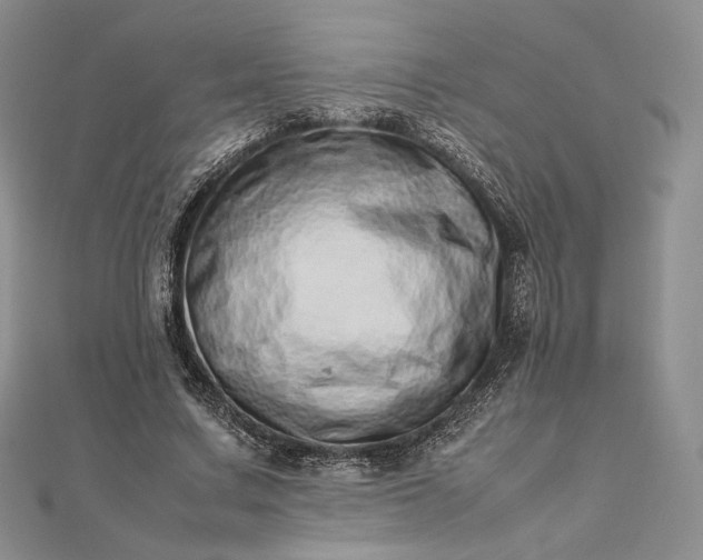 X0000112490683200908311432