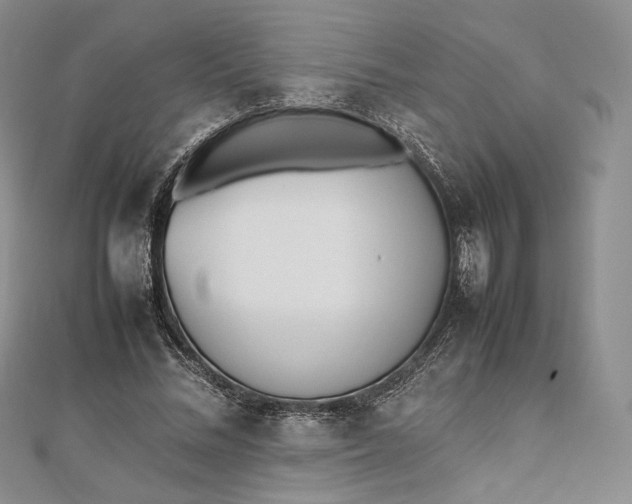 X0000112490684200908311432