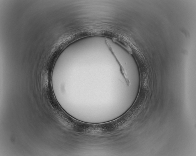 X0000112490685200908311432