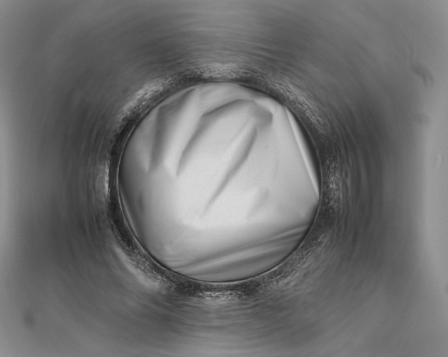 X0000112490686200908311432