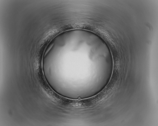 X0000112490687200908311432