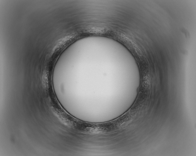 X0000112490688200908311432