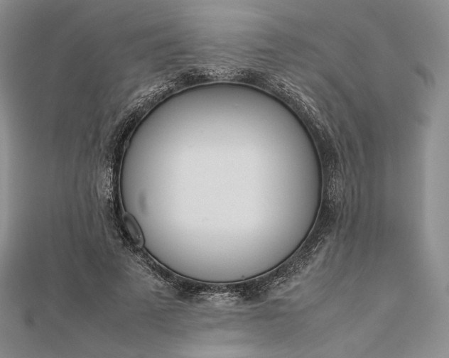 X0000112490689200908311432