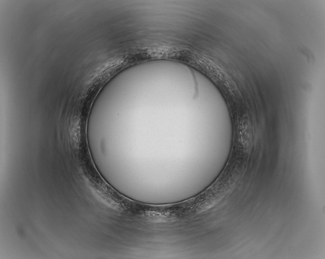 X0000112490690200908311432