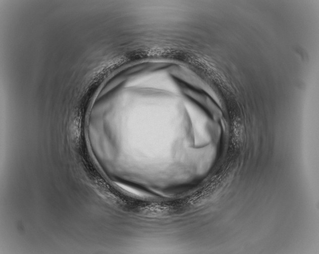 X0000112490691200908311432