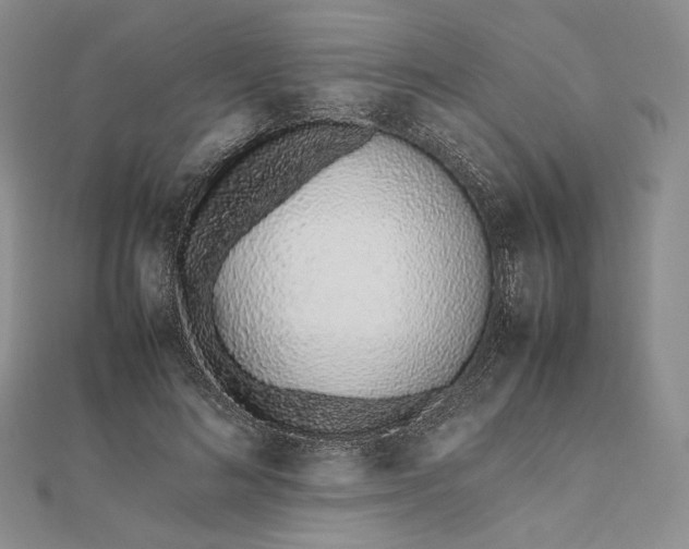 X0000112490692200908311432