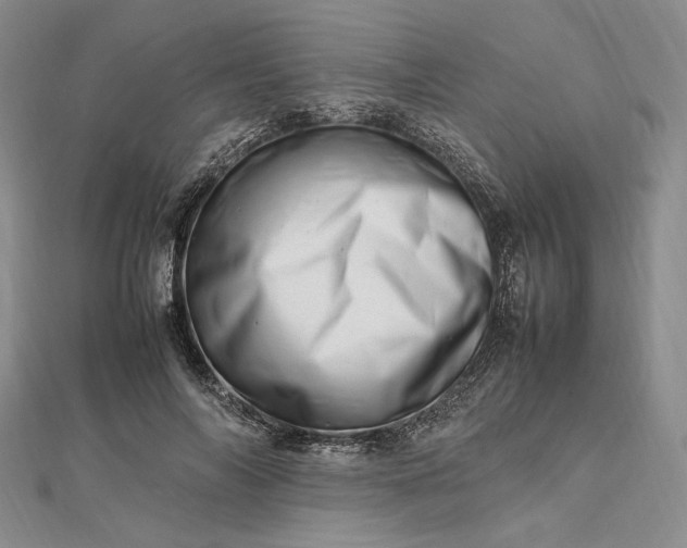 X0000112490694200908311432