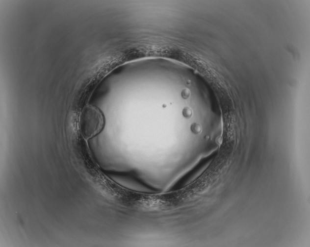 X0000112490695200908311432