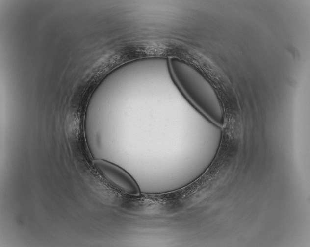 X0000112490697200908311432