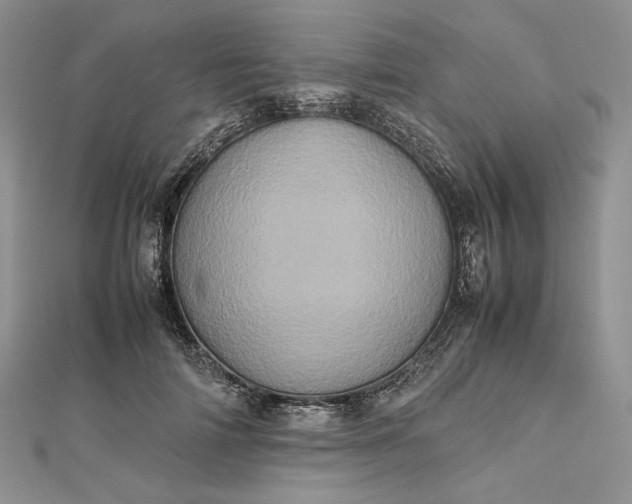 X0000112490698200908311432