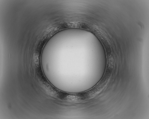 X0000112490699200908311432