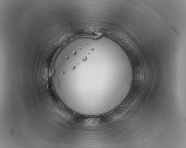 X0000112490700200908311432