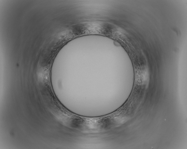 X0000112490701200908311432