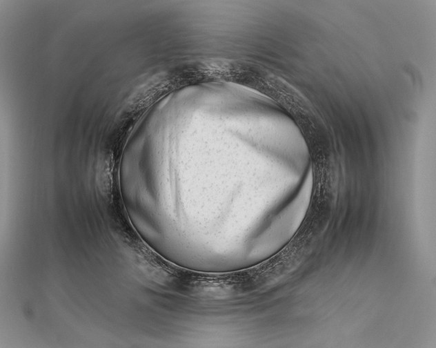 X0000112490702200908311432