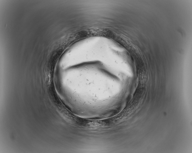 X0000112490703200908311432