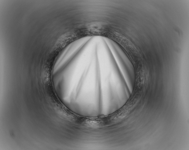 X0000112490706200908311432