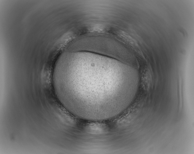 X0000112490708200908311432